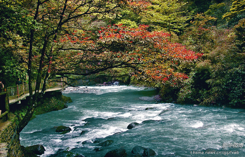 綦江 黑山谷风景