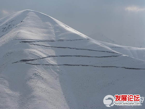 世界上最梦幻的公路