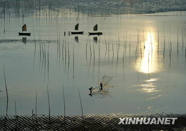 福建霞浦：美丽的滩涂风光