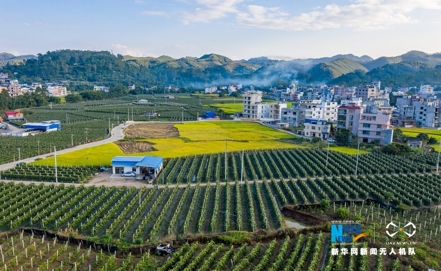 广西岑溪：青山环抱乡村如画