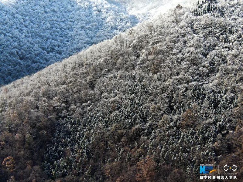 【“飞阅”中国】雪后十八里长峡 半山皑皑半山红