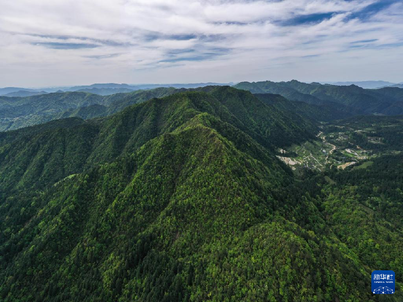 感受摄影构图魅力 天空之眼瞰贵州梵净山