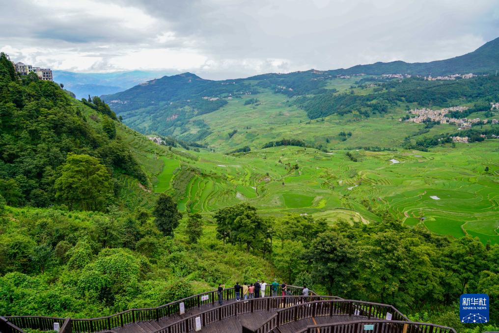 美丽中国丨雨后哈尼梯田